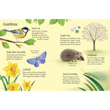 Load image into Gallery viewer, Things to spot in springtime book