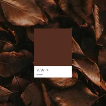 Load image into Gallery viewer, Vegan & non toxic nail polish - various colours