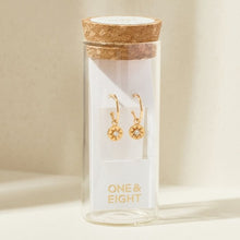 Load image into Gallery viewer, Crystal seren earrings