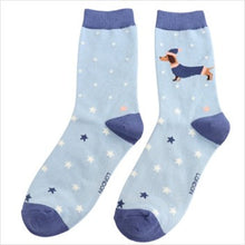 Load image into Gallery viewer, Festive sausage dogs socks - powder blue