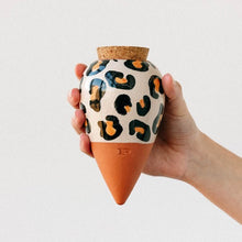 Load image into Gallery viewer, Hydrating olla - various colours