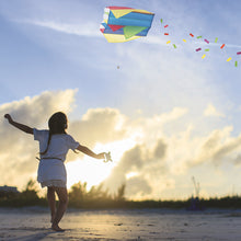 Load image into Gallery viewer, Pocket kite