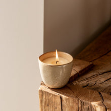 Load image into Gallery viewer, Pot enchantment candle - granite & moss