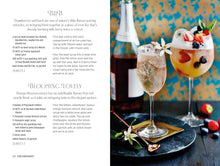 Load image into Gallery viewer, Spritz cocktails books