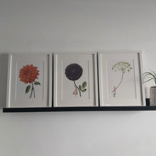 Load image into Gallery viewer, Mounted print - dahlia purple 'in bloom'