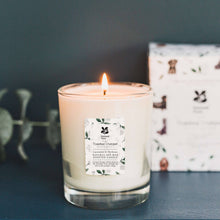 Load image into Gallery viewer, Lavender & verbena glass candle & seed packet