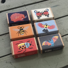Load image into Gallery viewer, Wildlife collection gift seed boxes