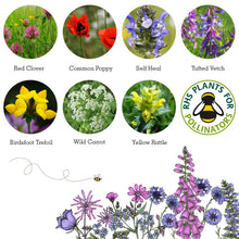Load image into Gallery viewer, Wildlife collection gift seed boxes