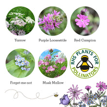 Load image into Gallery viewer, Wildlife collection gift seed boxes