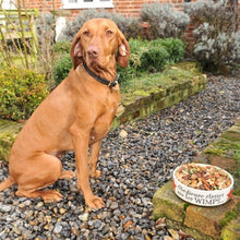 Load image into Gallery viewer, Obedience classes are for wimps dog bowl
