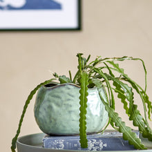 Load image into Gallery viewer, Pennie flowerpot
