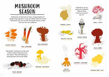 Load image into Gallery viewer, Hello autumn: a sticker activity nature guide book

