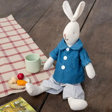 Load image into Gallery viewer, Soft toy - Bertie the bunny
