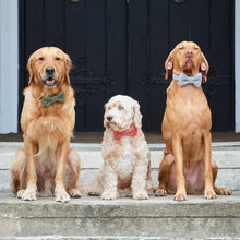 Load image into Gallery viewer, Dog bow ties
