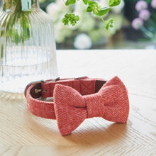 Load image into Gallery viewer, Dog bow ties

