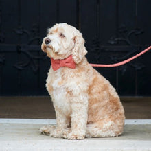 Load image into Gallery viewer, Dog bow ties
