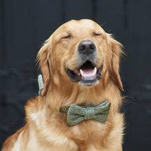 Load image into Gallery viewer, Dog bow ties
