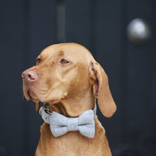 Load image into Gallery viewer, Dog bow ties
