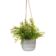 Load image into Gallery viewer, Mojave grey hanging planter
