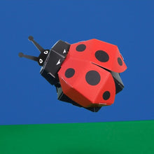 Load image into Gallery viewer, Create your own lovely ladybird
