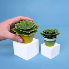 Load image into Gallery viewer, Make your own mindful succulent
