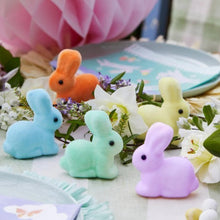 Load image into Gallery viewer, Mini pastel bunny set
