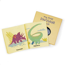 Load image into Gallery viewer, My first dinosaur rag book

