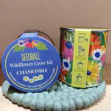 Load image into Gallery viewer, Wildflower grow kit - forget me not

