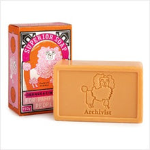 Load image into Gallery viewer, Orange &amp; cinnamon hand soap
