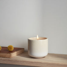 Load image into Gallery viewer, Garden path candles
