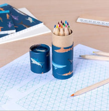 Load image into Gallery viewer, Sharks tube of colouring pencils
