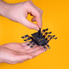 Load image into Gallery viewer, Create your own wriggly spider
