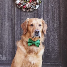 Load image into Gallery viewer, Velvet dog bow ties

