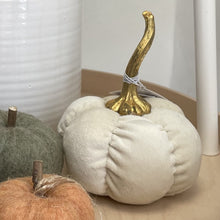 Load image into Gallery viewer, Velvet pumpkin dec - cream - large
