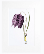 Load image into Gallery viewer, Fritillary 'In Bloom' mounted print
