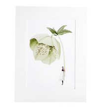Load image into Gallery viewer, Hellebore green 'In Bloom' mounted print
