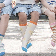 Load image into Gallery viewer, Vintage rainbow &amp; sun socks

