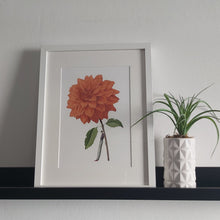 Load image into Gallery viewer, Mounted print - dahlia orange 'in bloom'
