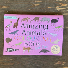 Load image into Gallery viewer, A colouring book matches the amazing animals fact cards set two we also have available by Button &amp; Squirt.  It features 35 amazing unusual animals to colour, perfect to keep in a bag for when you're out and about.
