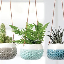 Load image into Gallery viewer, Hanging pots - baby dotty trio
