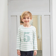 Load image into Gallery viewer, No 3 T-shirt - Seafoam &amp; white breton stripe
