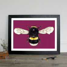 Load image into Gallery viewer, Madagascan Sunset Moth - digital print
