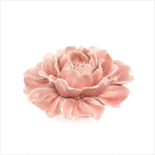 Load image into Gallery viewer, Coral 5 - rose pink
