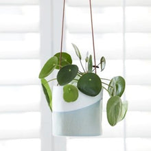 Load image into Gallery viewer, Hanging pot - dip
