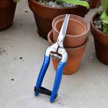 Load image into Gallery viewer, British meadow boxed fruit &amp; flower snip
