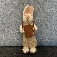 Load image into Gallery viewer, White bunny with lavender dress &amp; book
