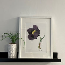 Load image into Gallery viewer, Poppy unframed mounted print
