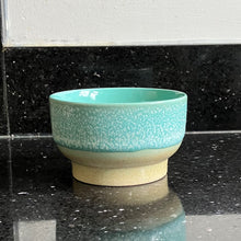 Load image into Gallery viewer, Safie plate - green
