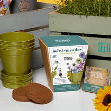 Load image into Gallery viewer, Mini meadow pots
