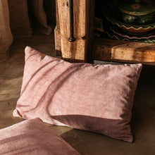 Load image into Gallery viewer, Misi velvet cushions
